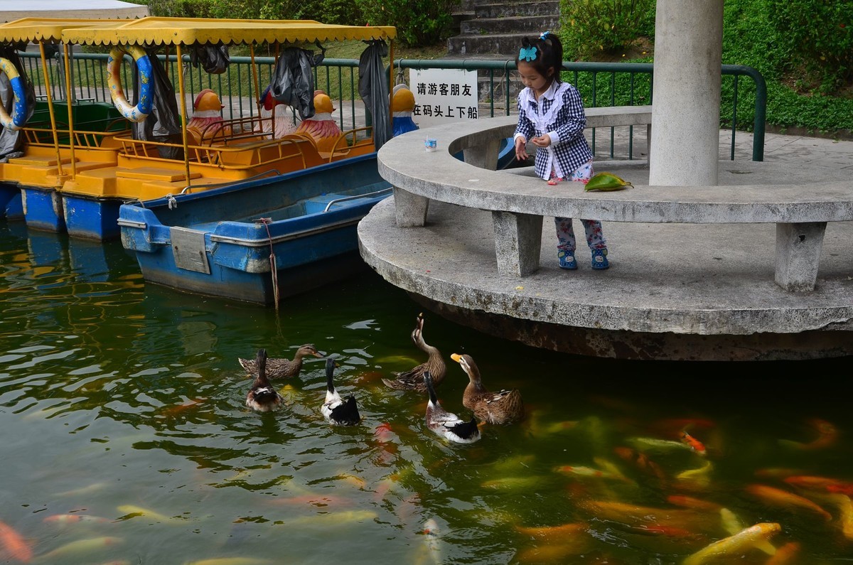 回忆片——中山紫马岭游记（7）