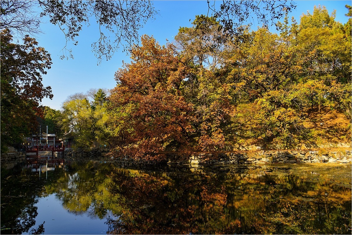 2024年第0771贴-颐和园风光纪实游拍（1015）