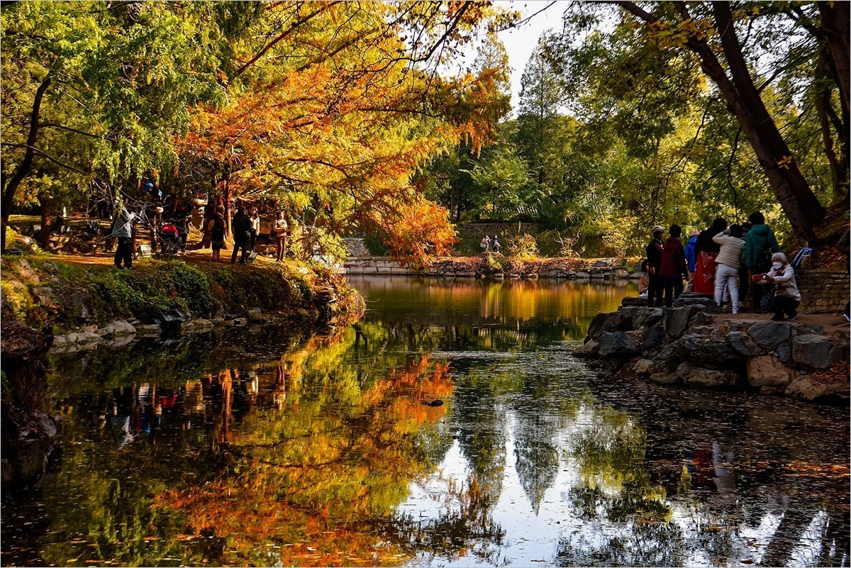 2024年第0771贴-颐和园风光纪实游拍（1015）