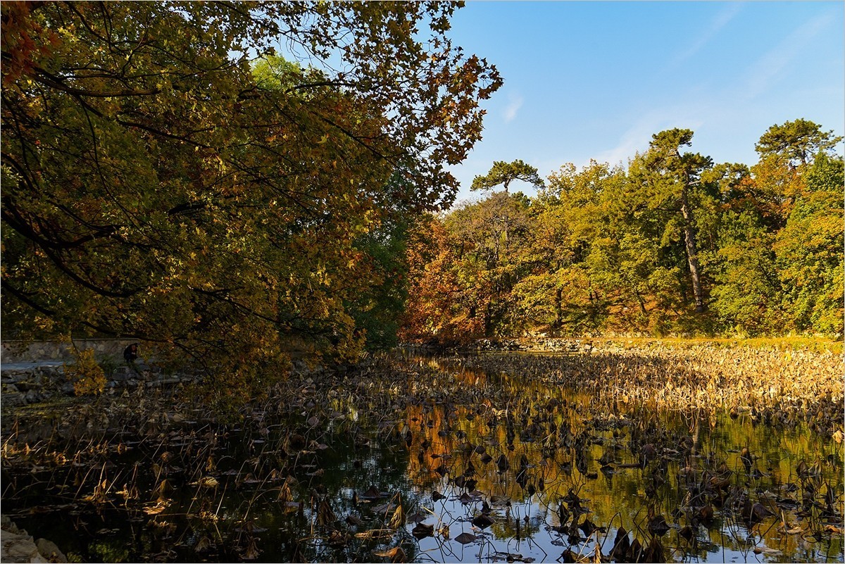 2024年第0771贴-颐和园风光纪实游拍（1015）