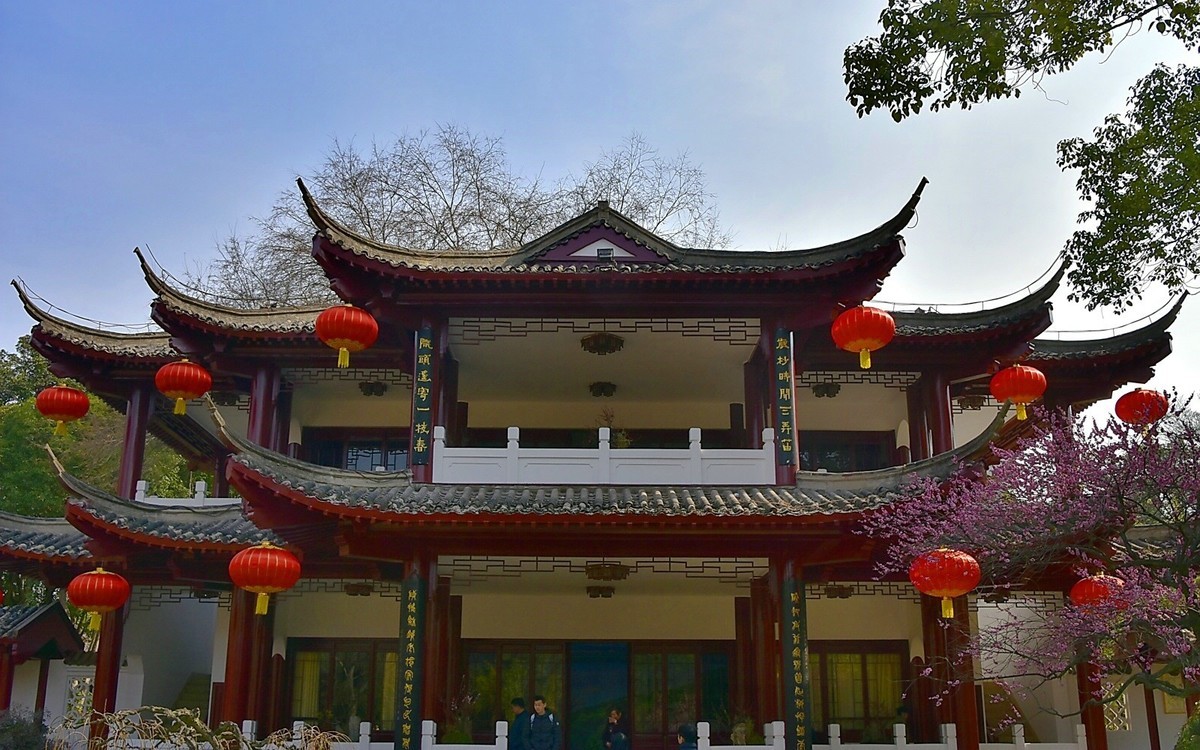 二月梅园    花香迎客