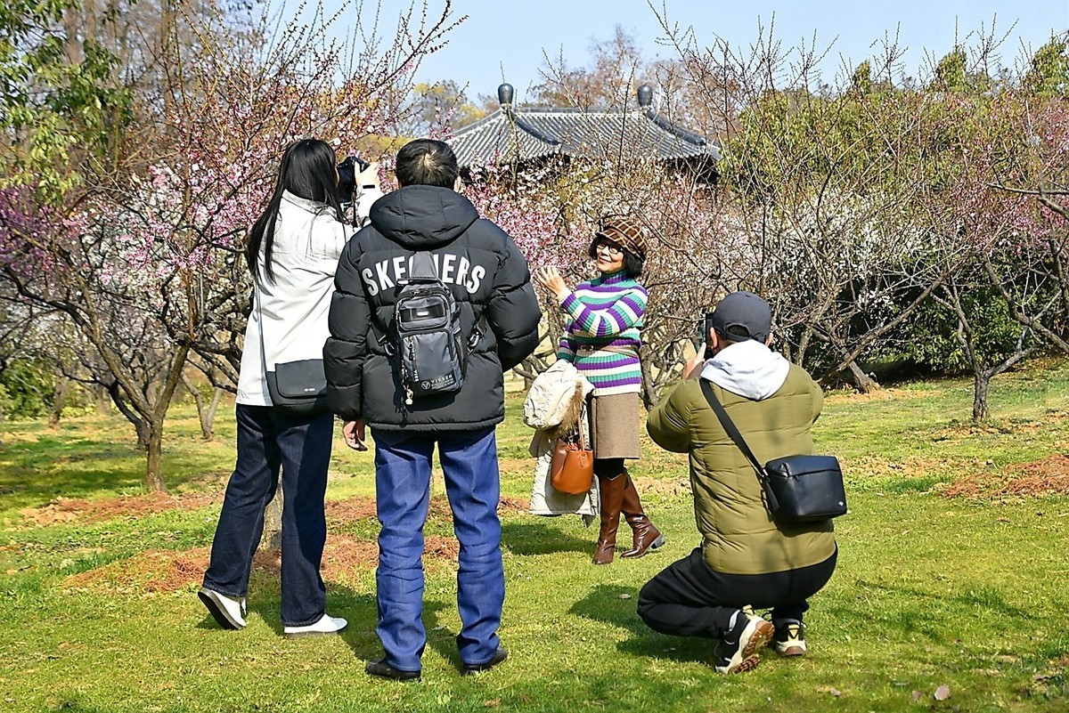 二月梅园    花香迎客
