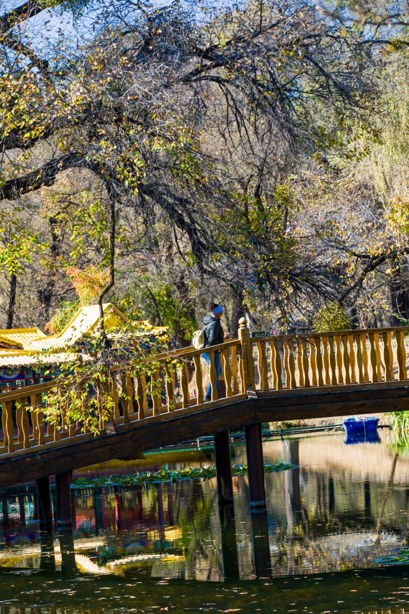 外出随拍（续342）.