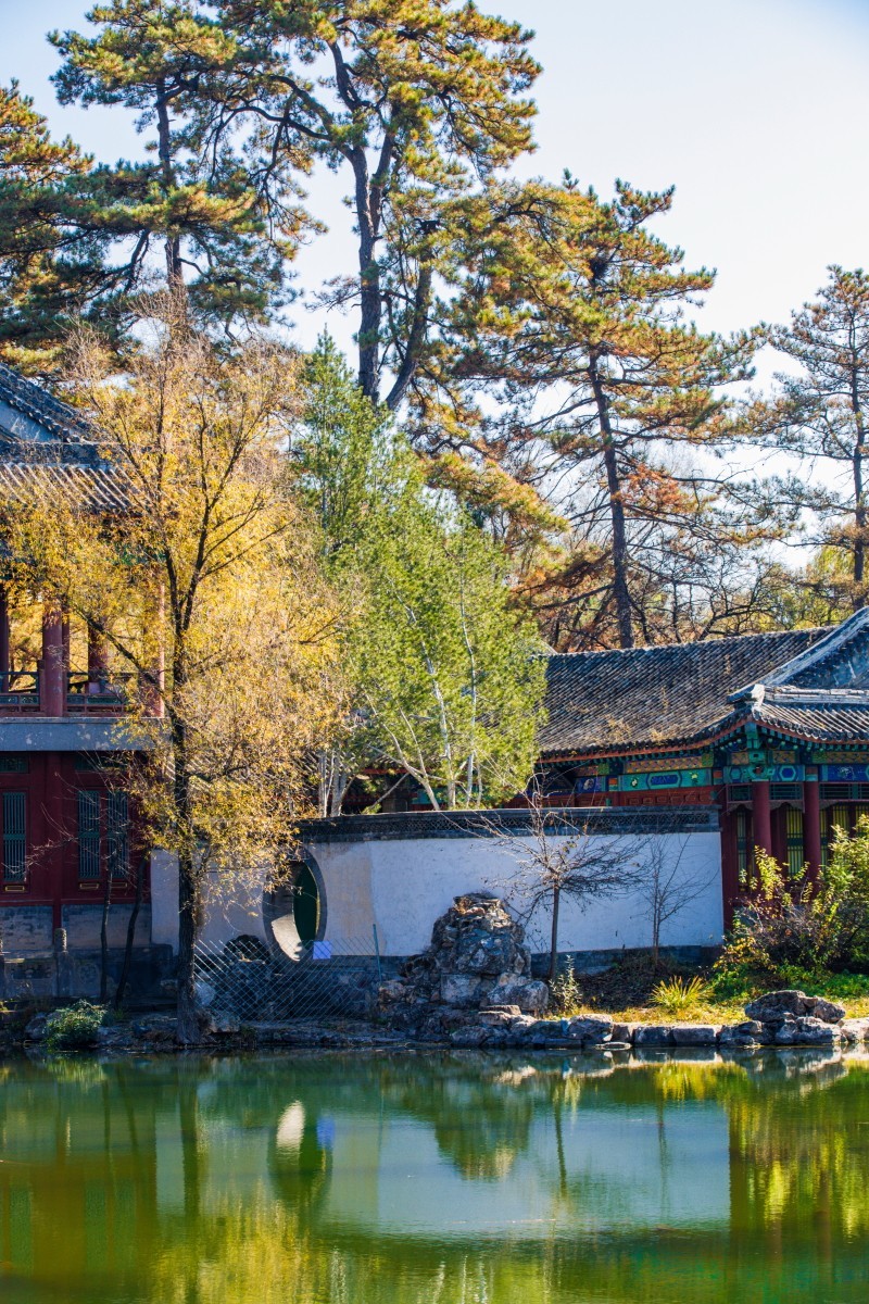 外出随拍（续342）.