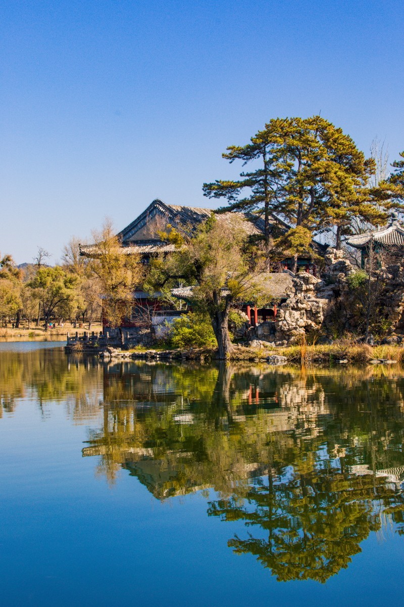 外出随拍（续342）.