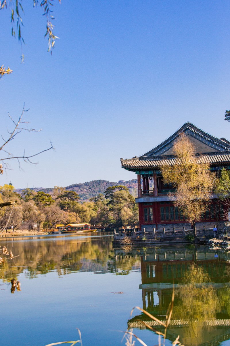 外出随拍（续342）.