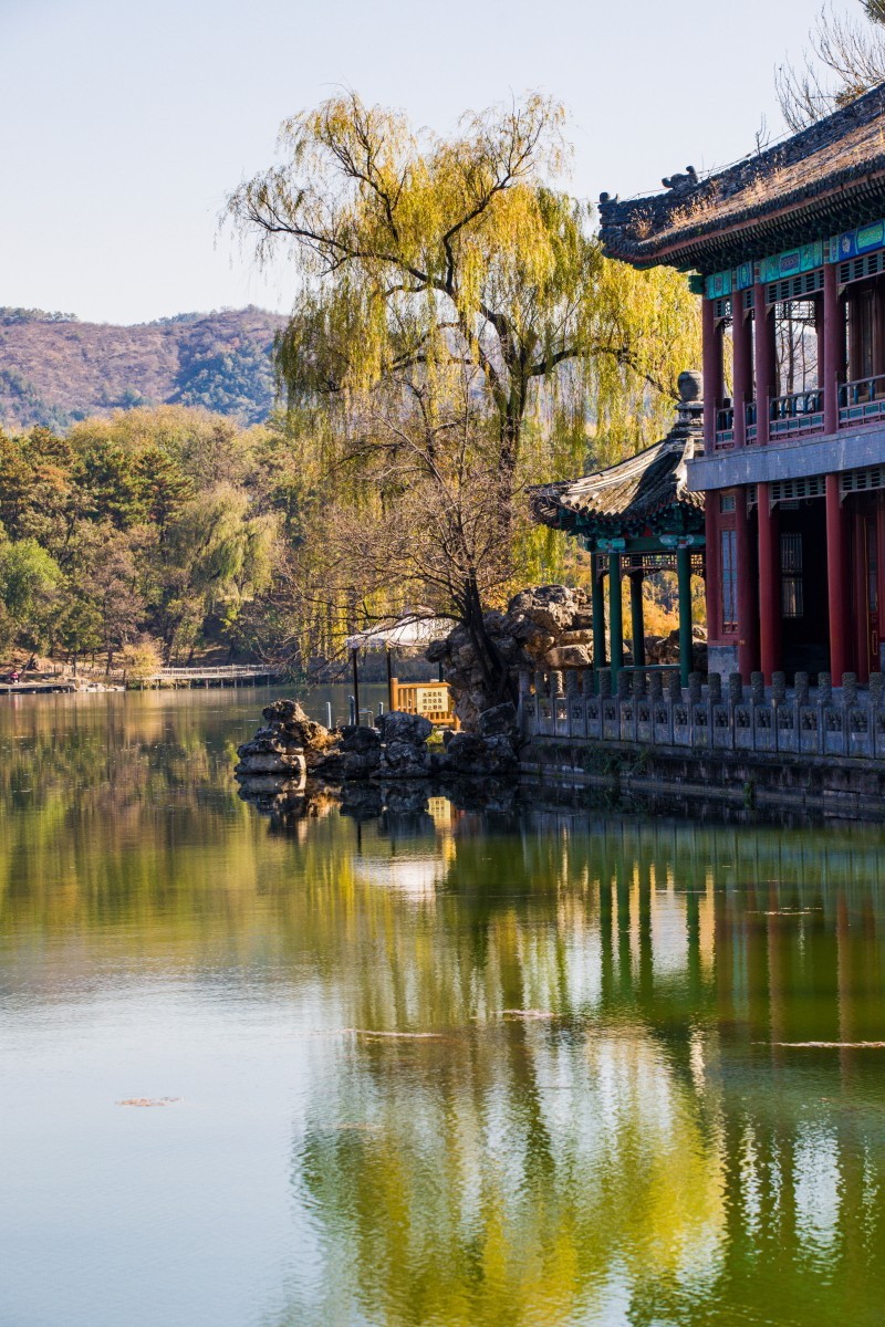 外出随拍（续342）.