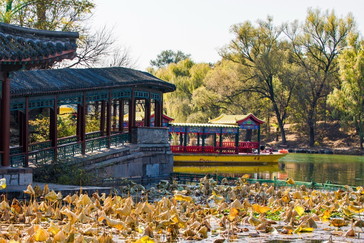 外出随拍（续342）.