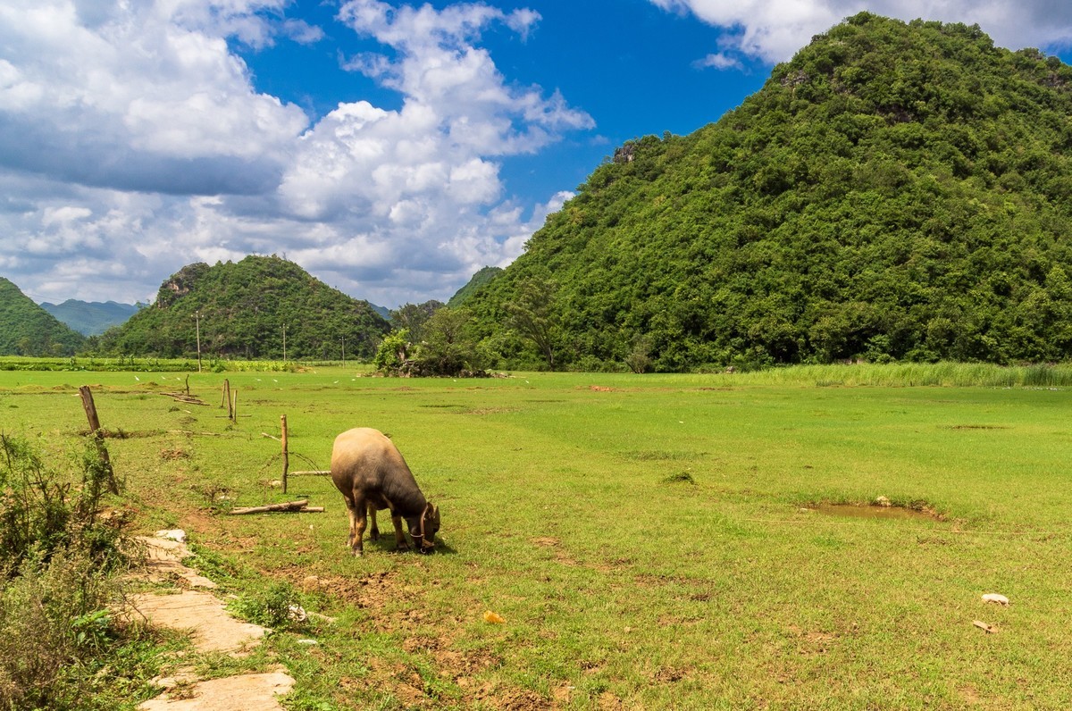 文山普者黑风光（二）