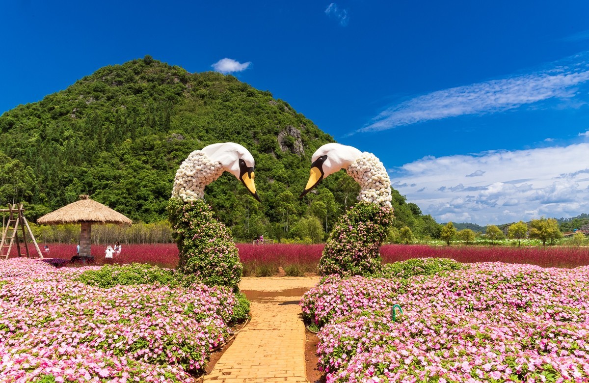 文山普者黑风光（二）