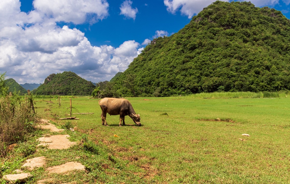 文山普者黑风光（二）
