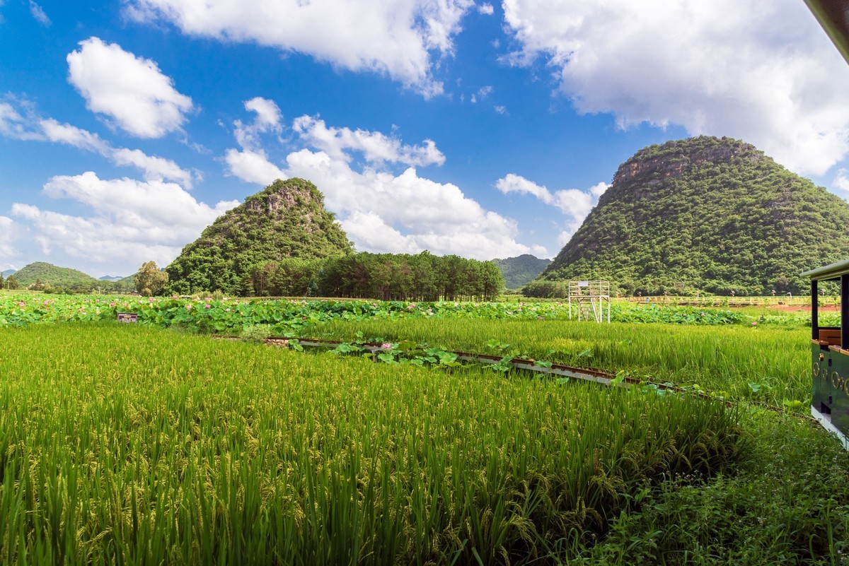 文山普者黑风光（二）