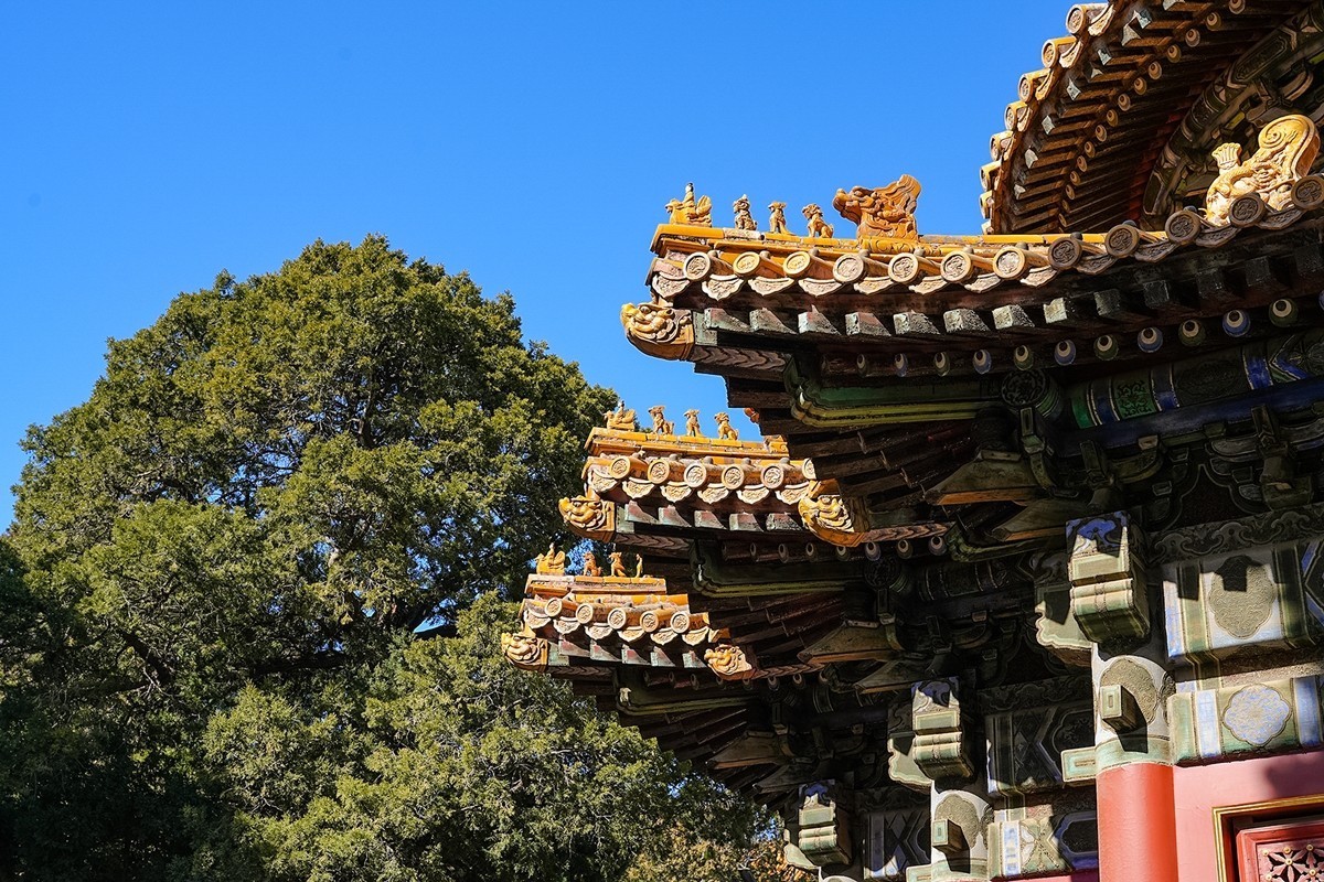 2025年第0376贴-故宫旅拍（0603）