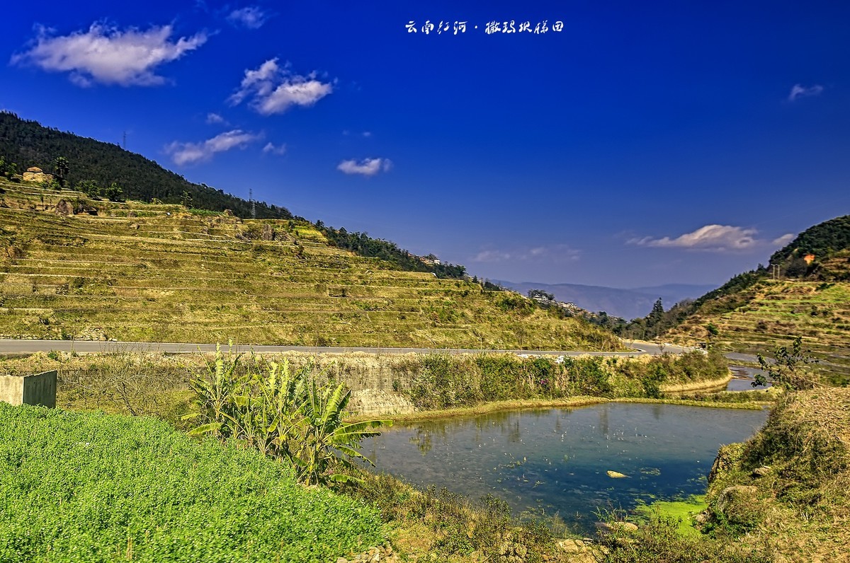 云南红河·撒玛坝梯田（3）