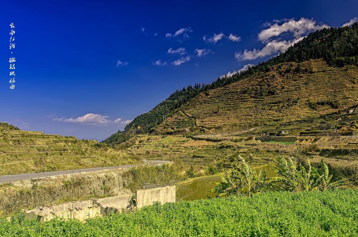 云南红河·撒玛坝梯田（3）