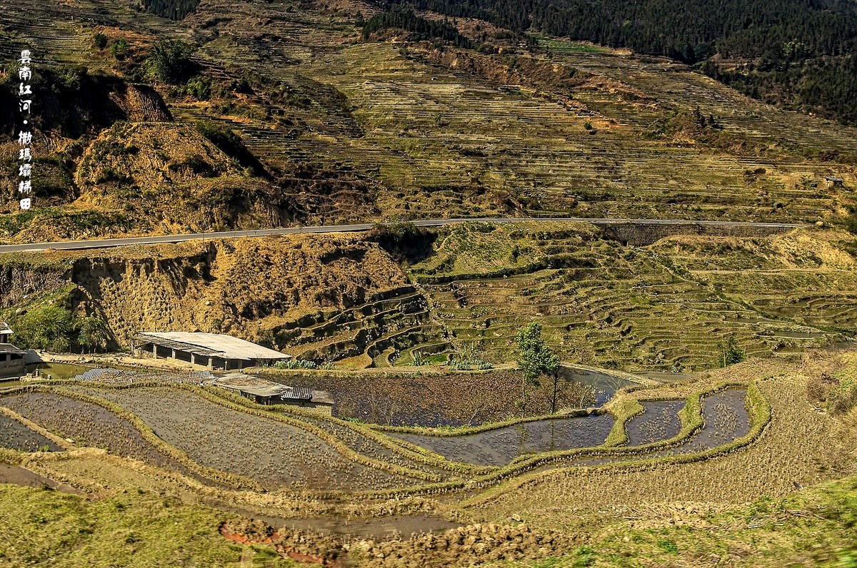 云南红河·撒玛坝梯田（3）