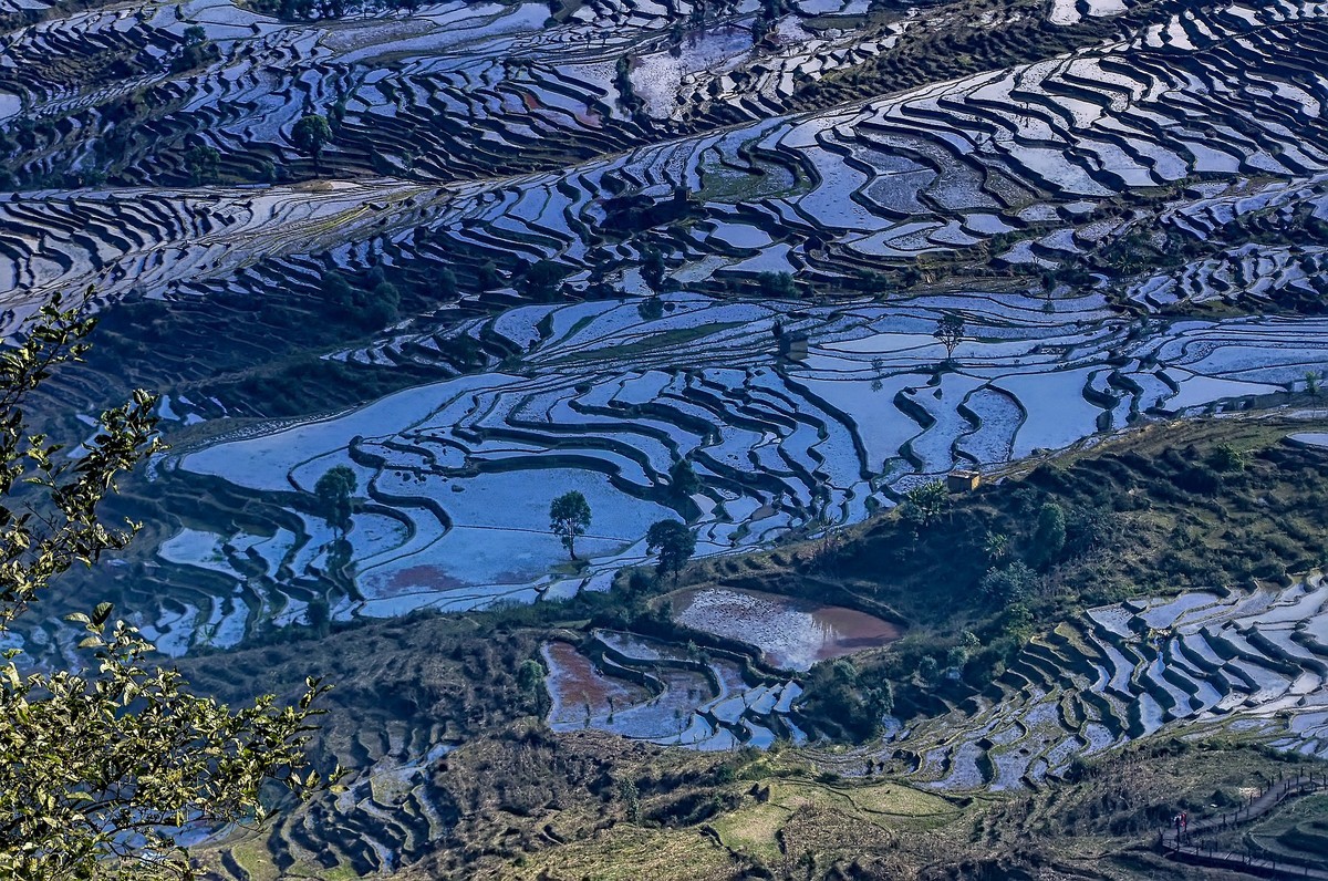 云南红河·撒玛坝梯田（3）