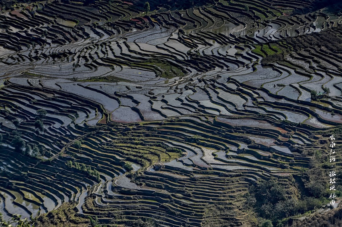 云南红河·撒玛坝梯田（3）