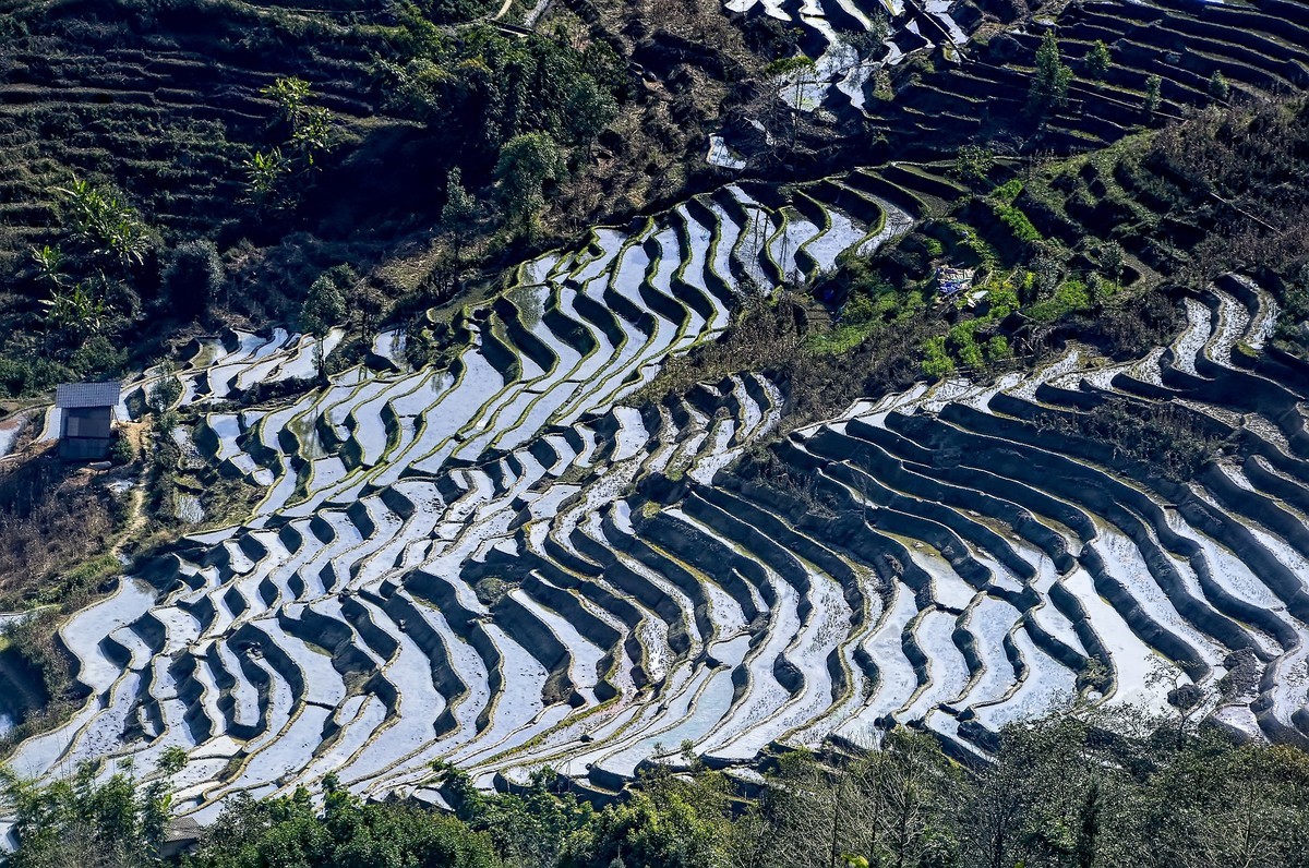 云南红河·撒玛坝梯田（3）