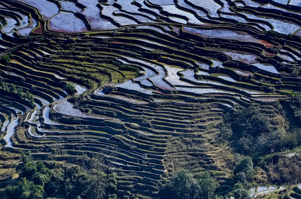 云南红河·撒玛坝梯田（3）