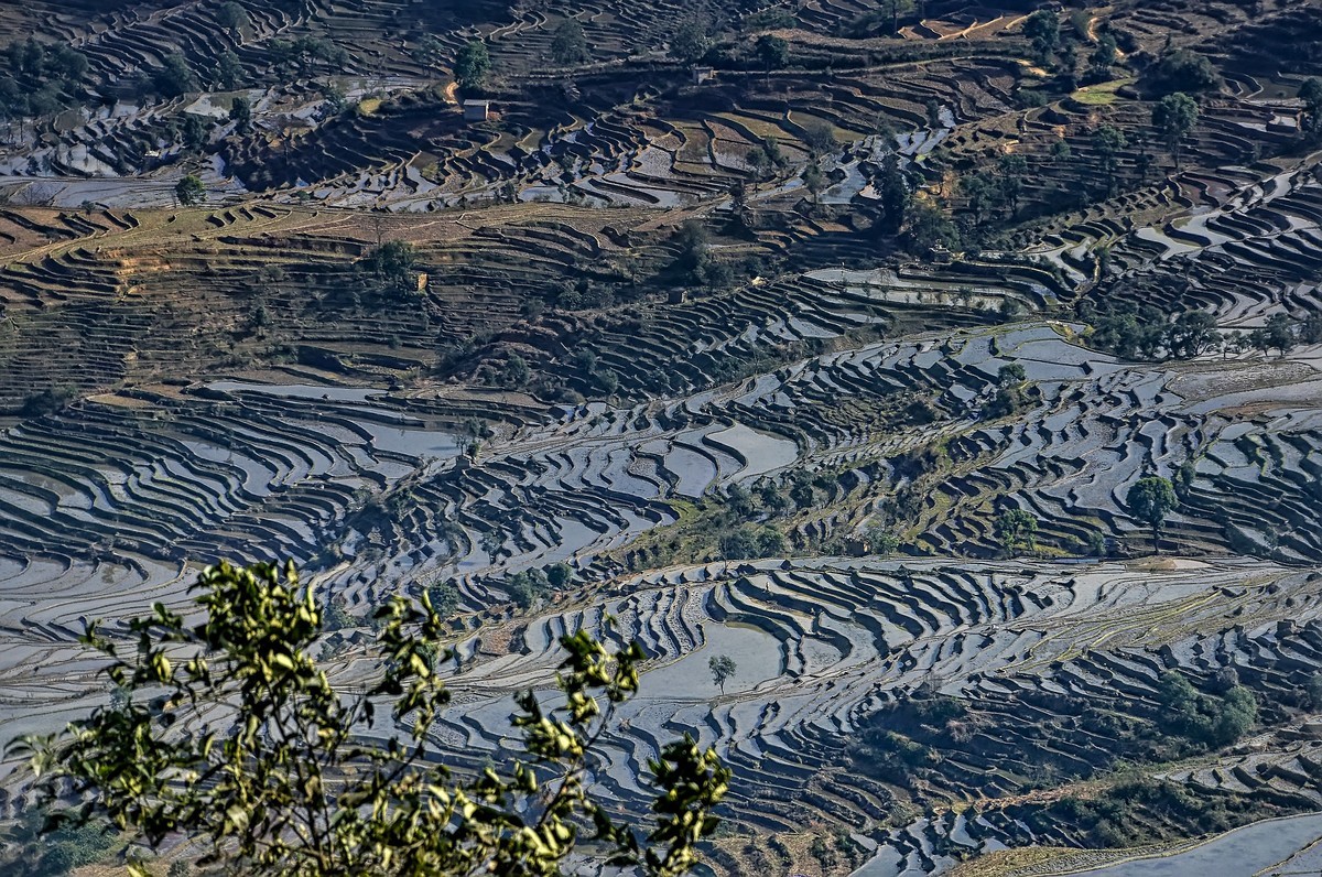 云南红河·撒玛坝梯田（3）