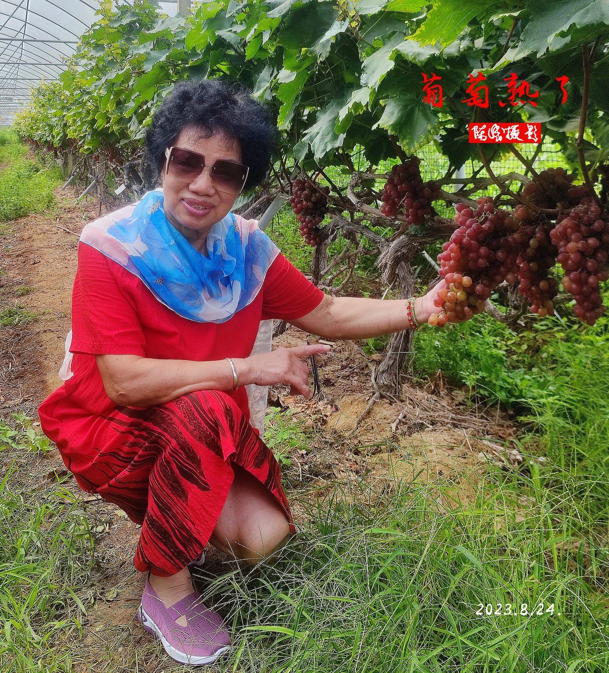 老同学游葡萄园            二0二三.十.廿六.发表