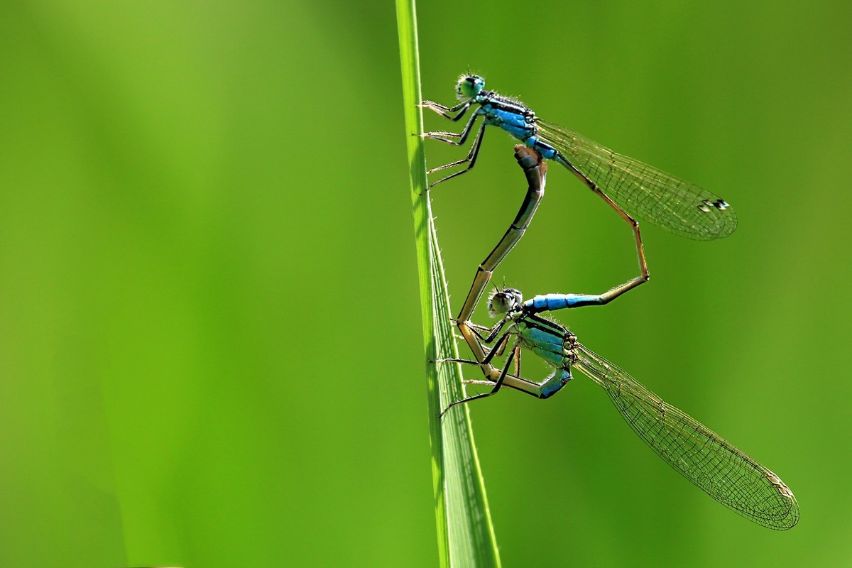 万物竟生，绽放生命之美！