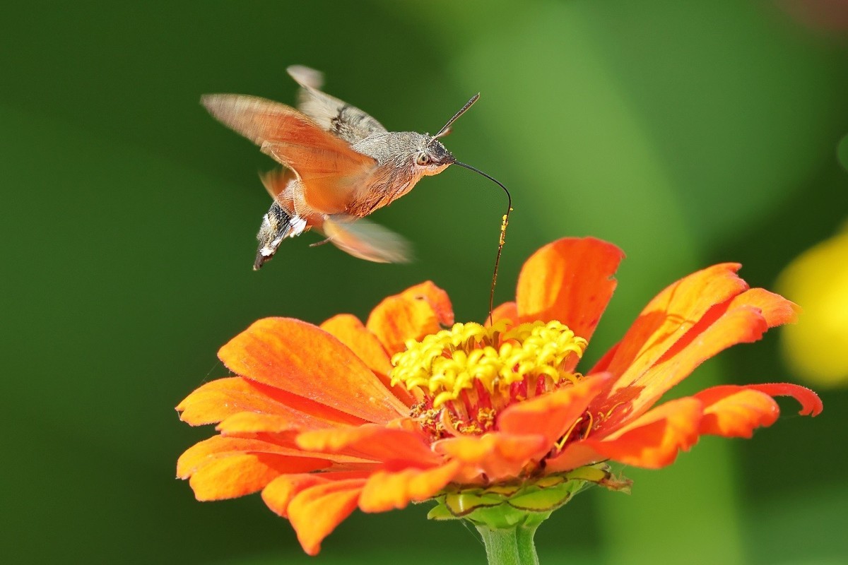 万物竟生，绽放生命之美！