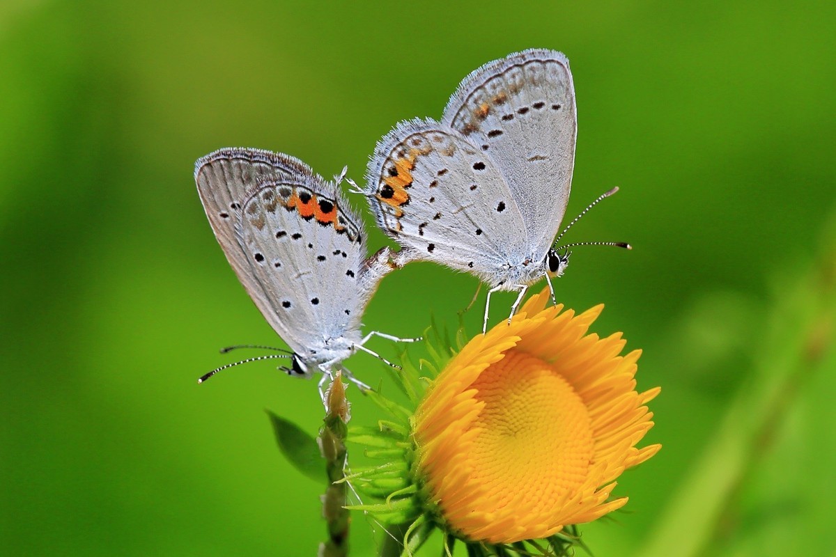 万物竟生，绽放生命之美！