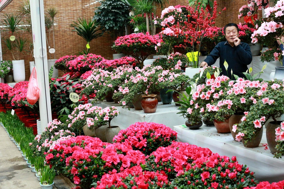 2024年拍花枝招展