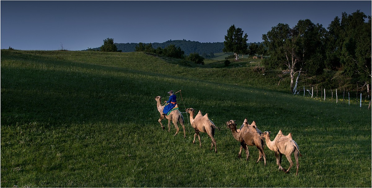 老片子 . 咔嚓瞬间系列