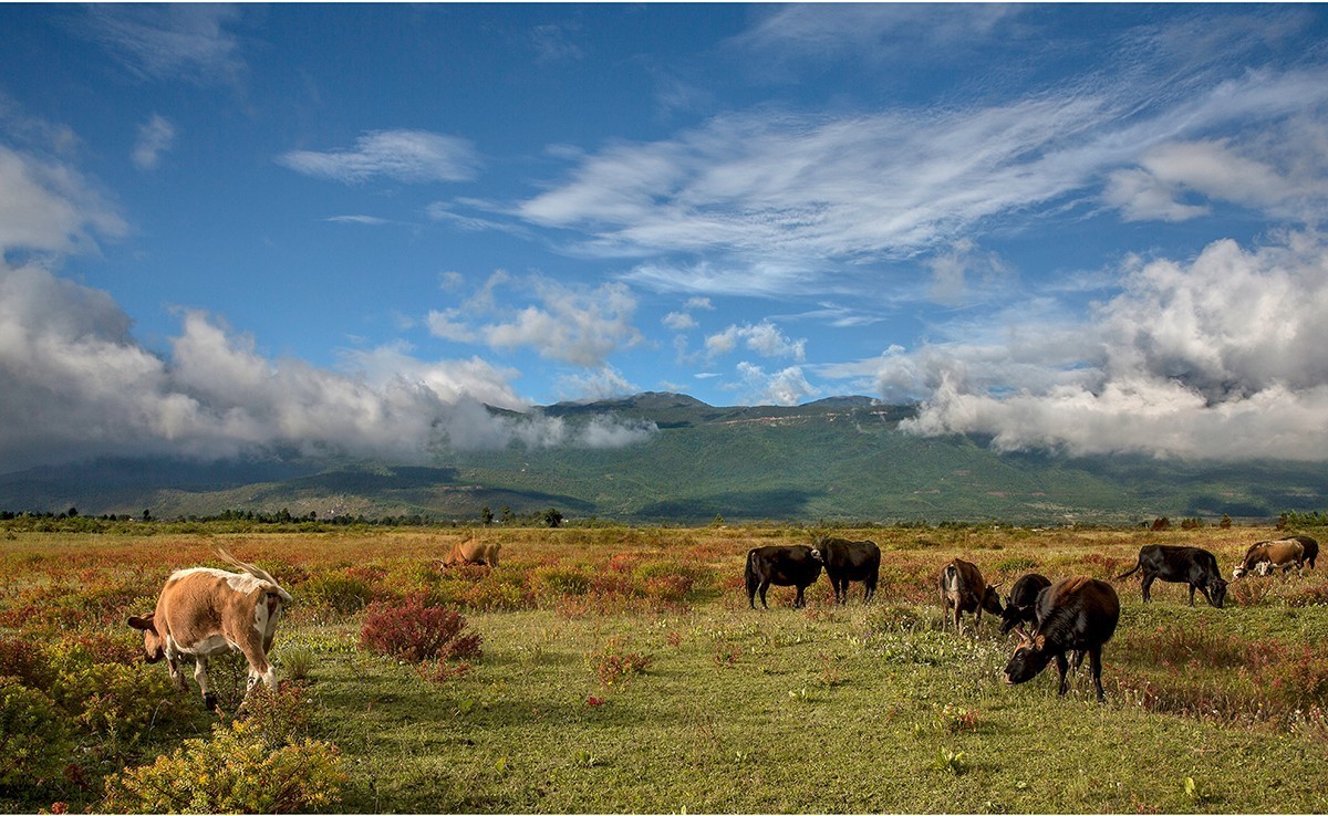 老片子 . 咔嚓瞬间系列