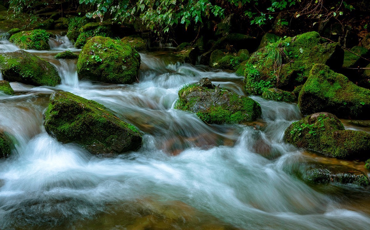 老片子 . 咔嚓瞬间系列
