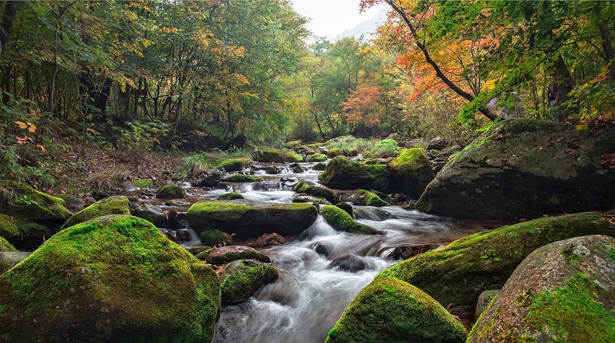 老片子 . 咔嚓瞬间系列