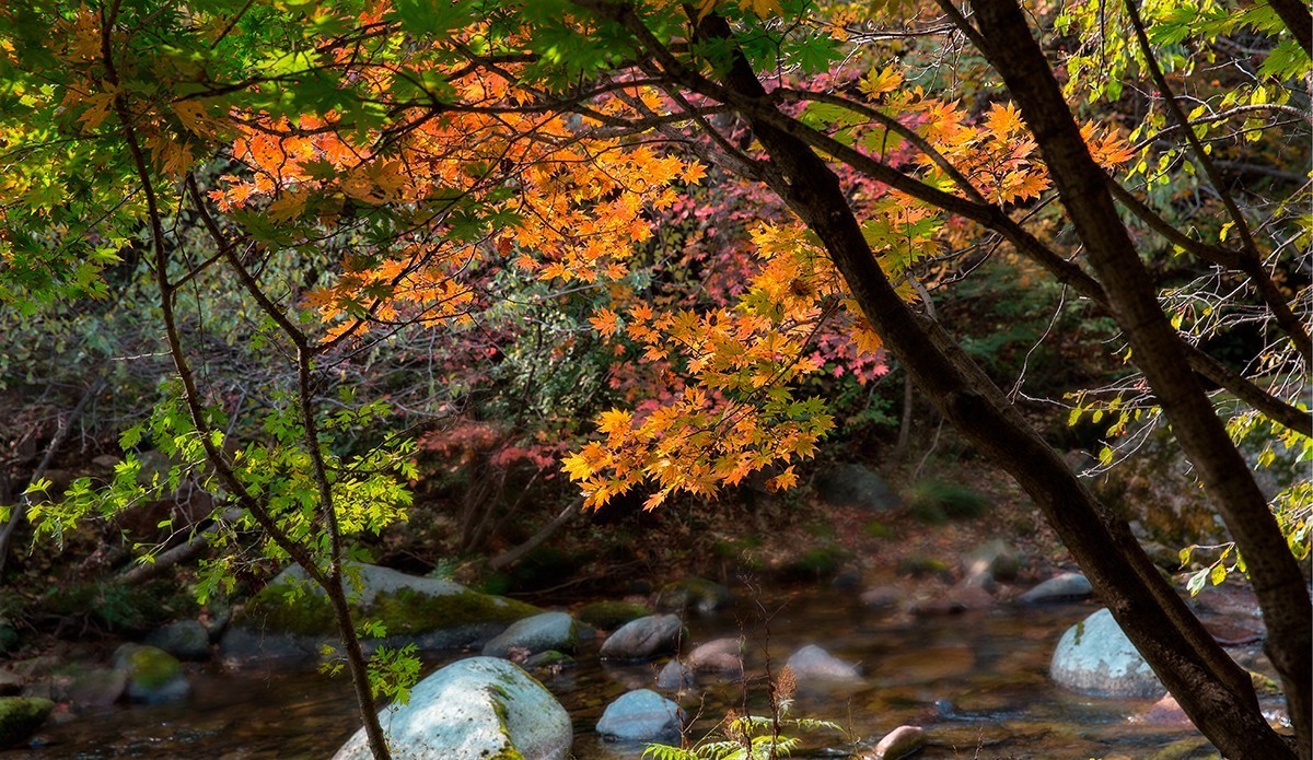 老片子 . 咔嚓瞬间系列