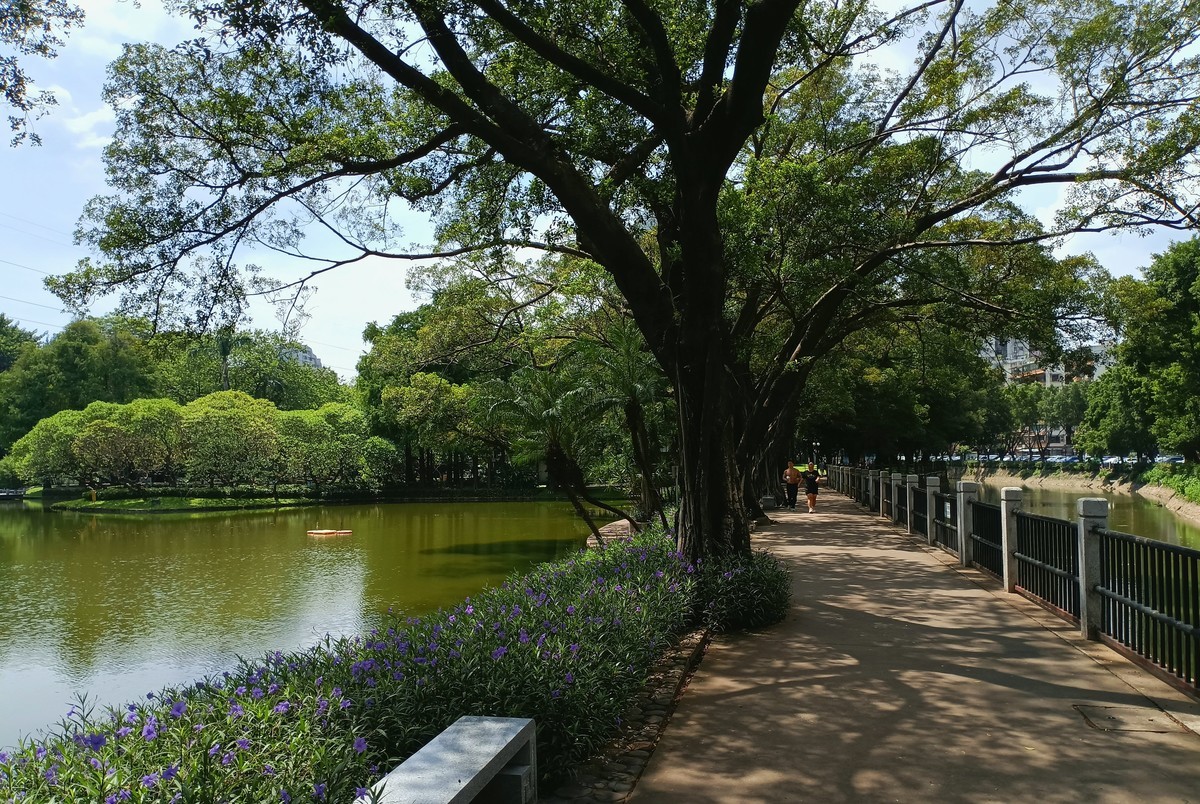 后花园。