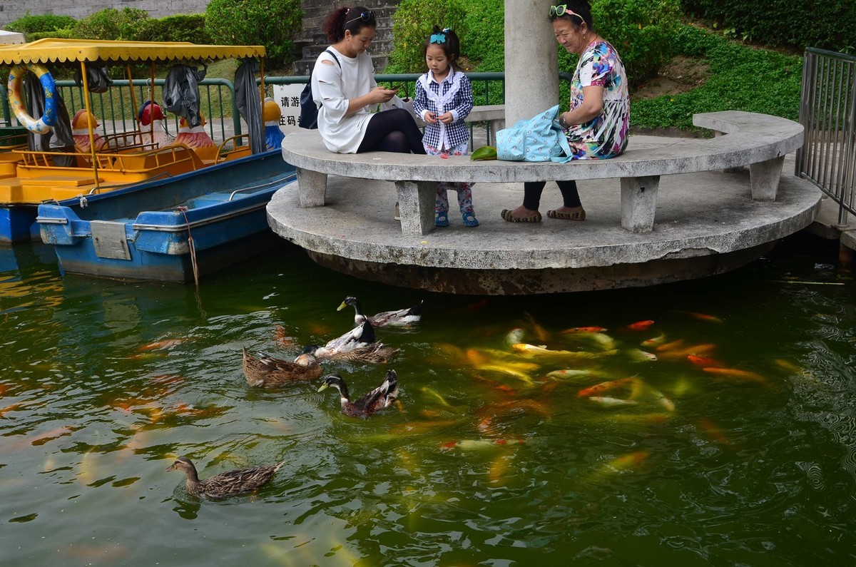 回忆片——中山紫马岭游记（7）