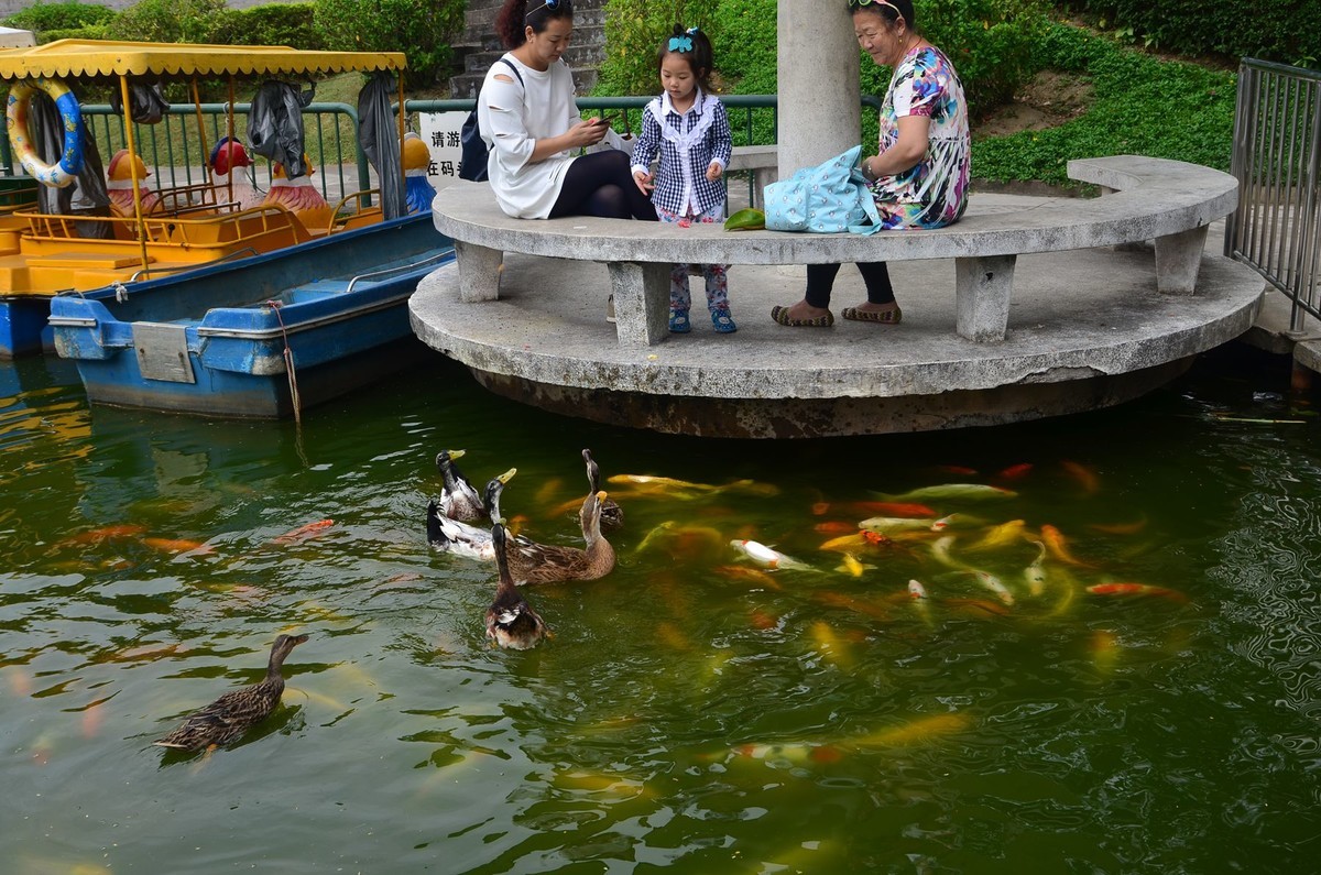 回忆片——中山紫马岭游记（7）