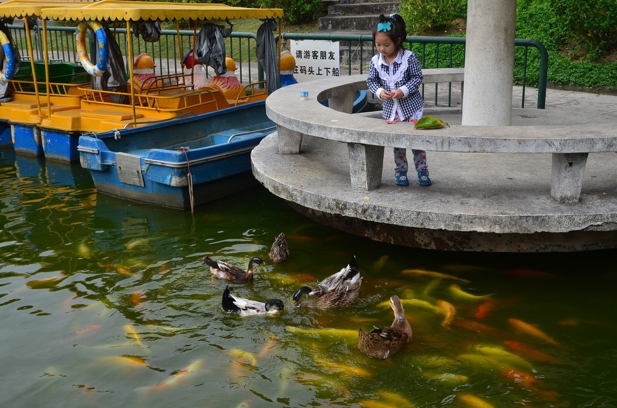 回忆片——中山紫马岭游记（7）