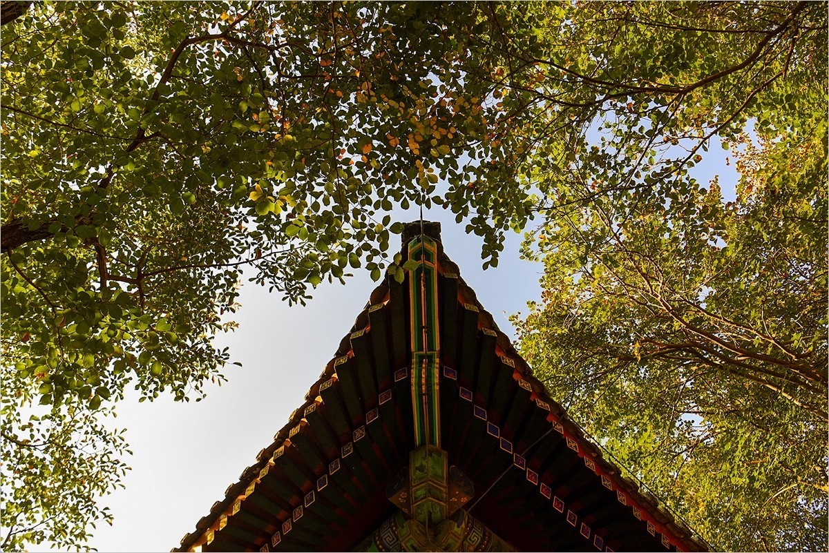 2024年第0770贴-颐和园风光纪实游拍（1015）