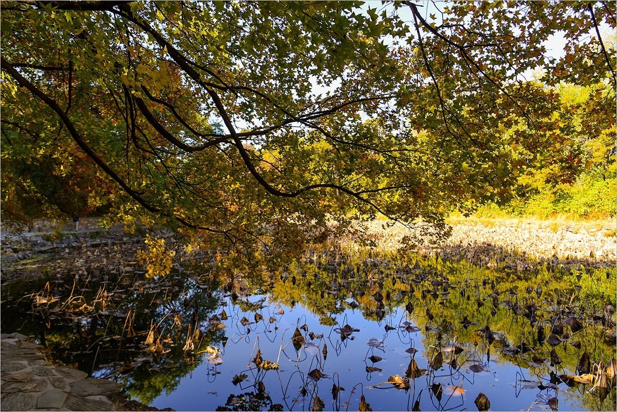 2024年第0771贴-颐和园风光纪实游拍（1015）