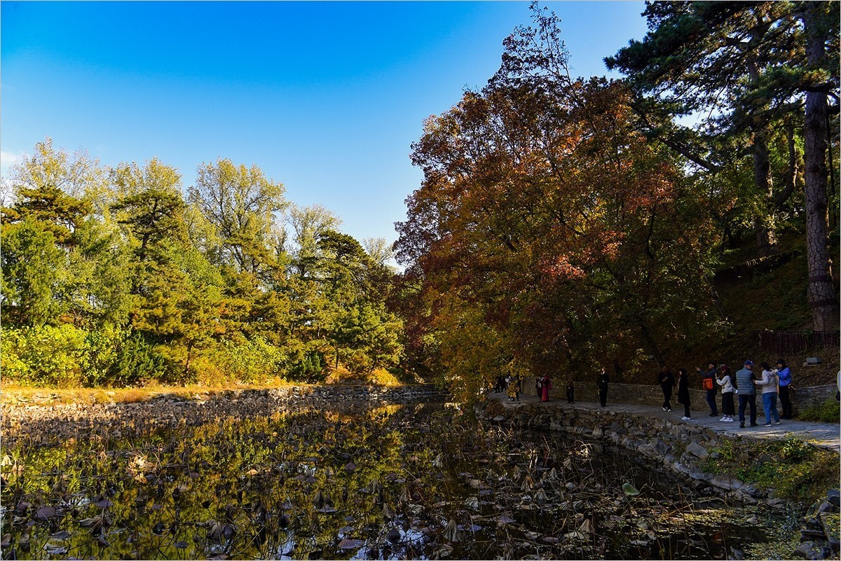 2024年第0771贴-颐和园风光纪实游拍（1015）