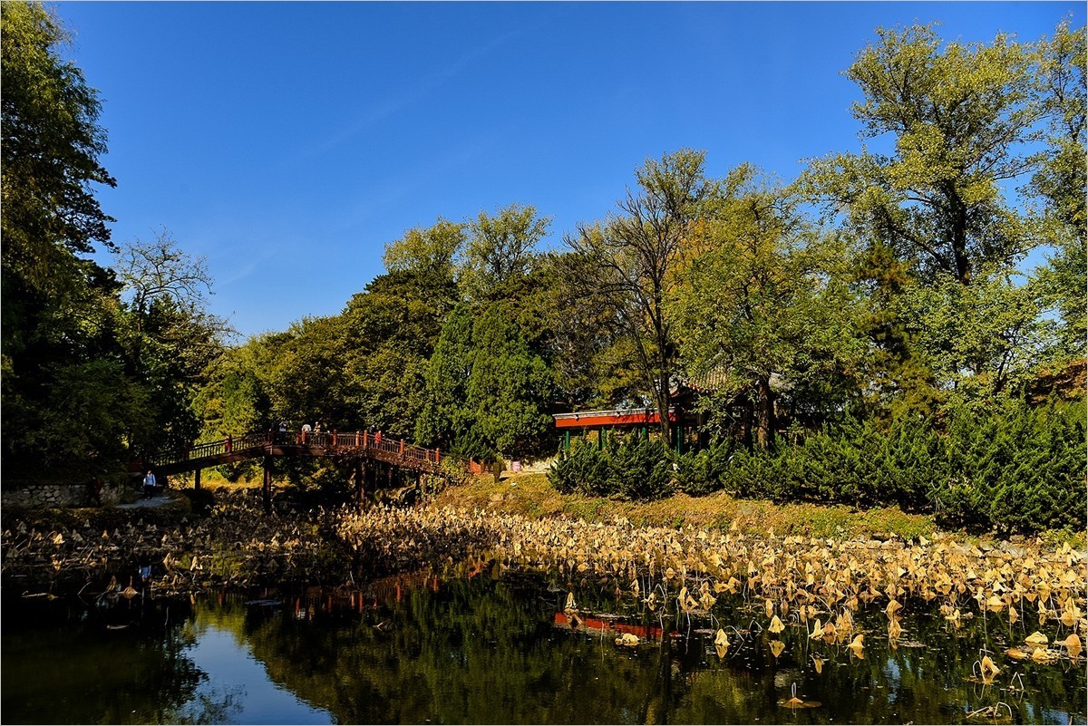 2024年第0771贴-颐和园风光纪实游拍（1015）