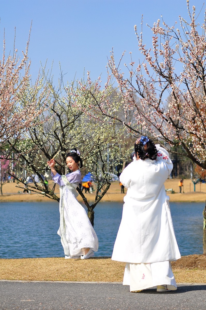 《D90+小小黑直出片》