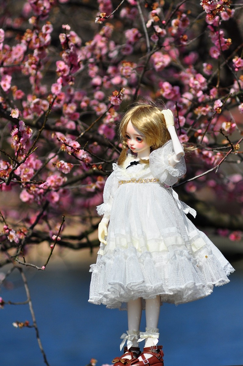 《D90+小小黑直出片》