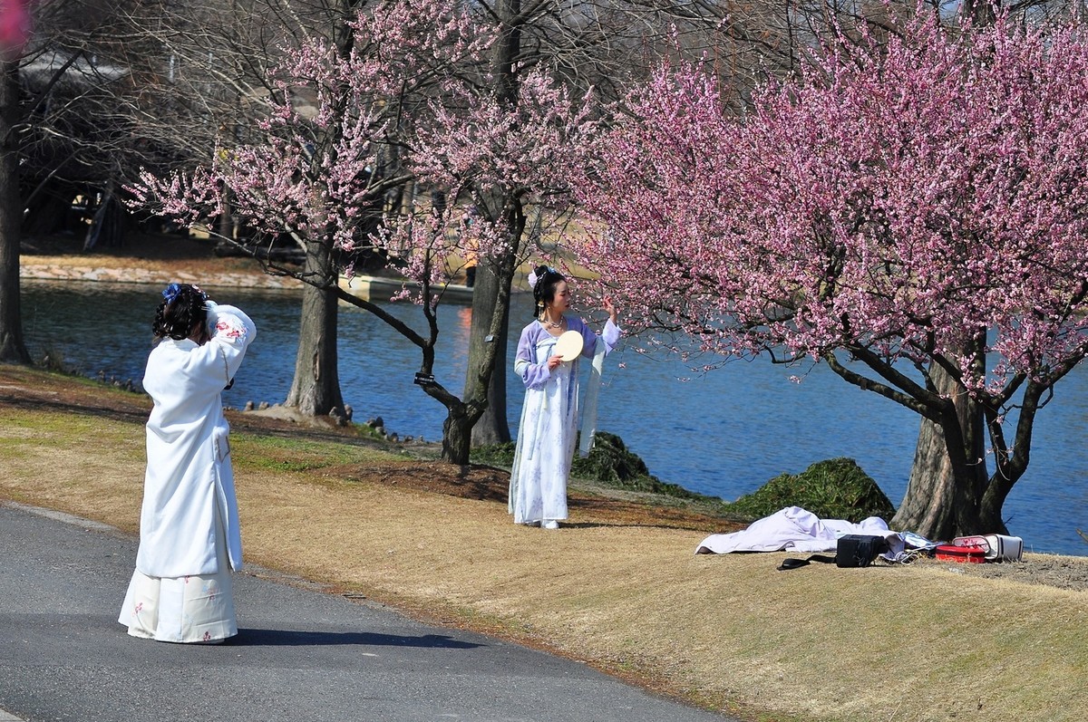 《D90+小小黑直出片》