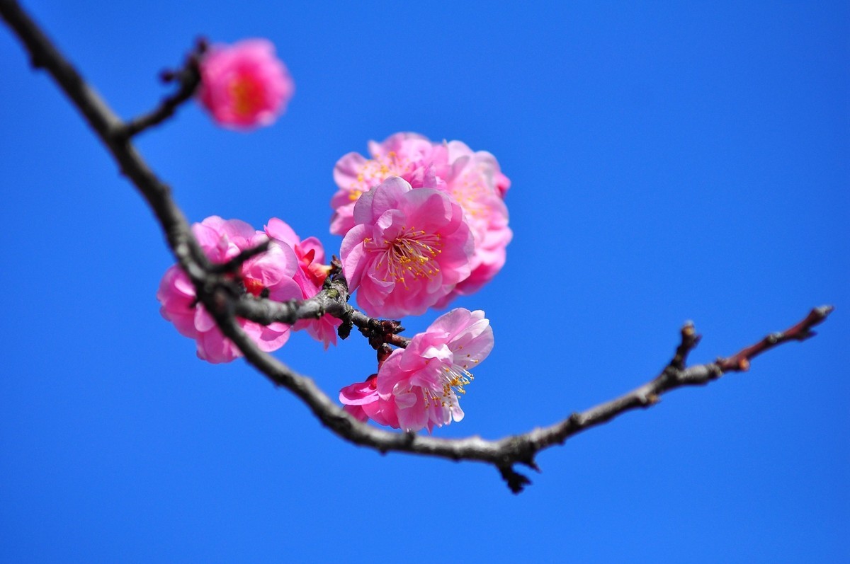 《D90+小小黑直出片》