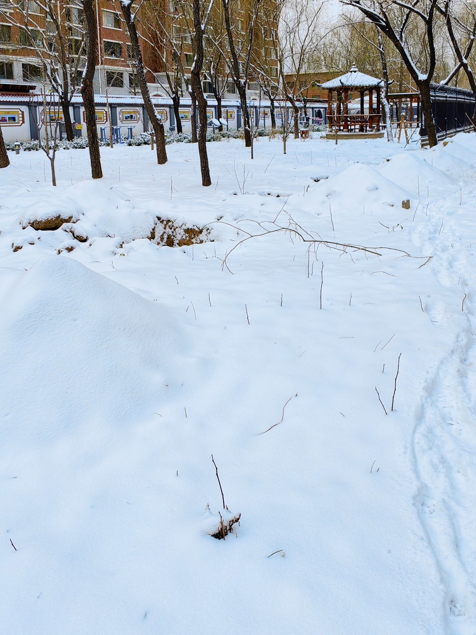 2023北京入冬第一场雪