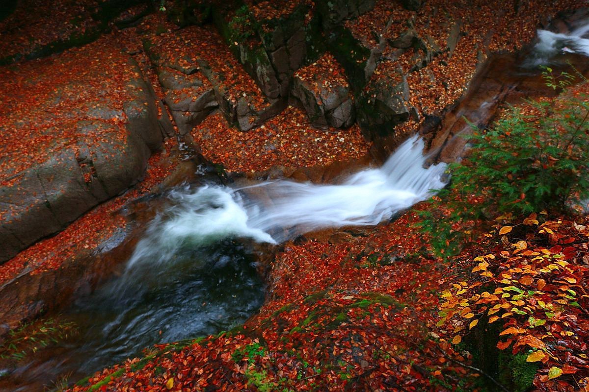 《 十 八 月 潭 》掠 影
