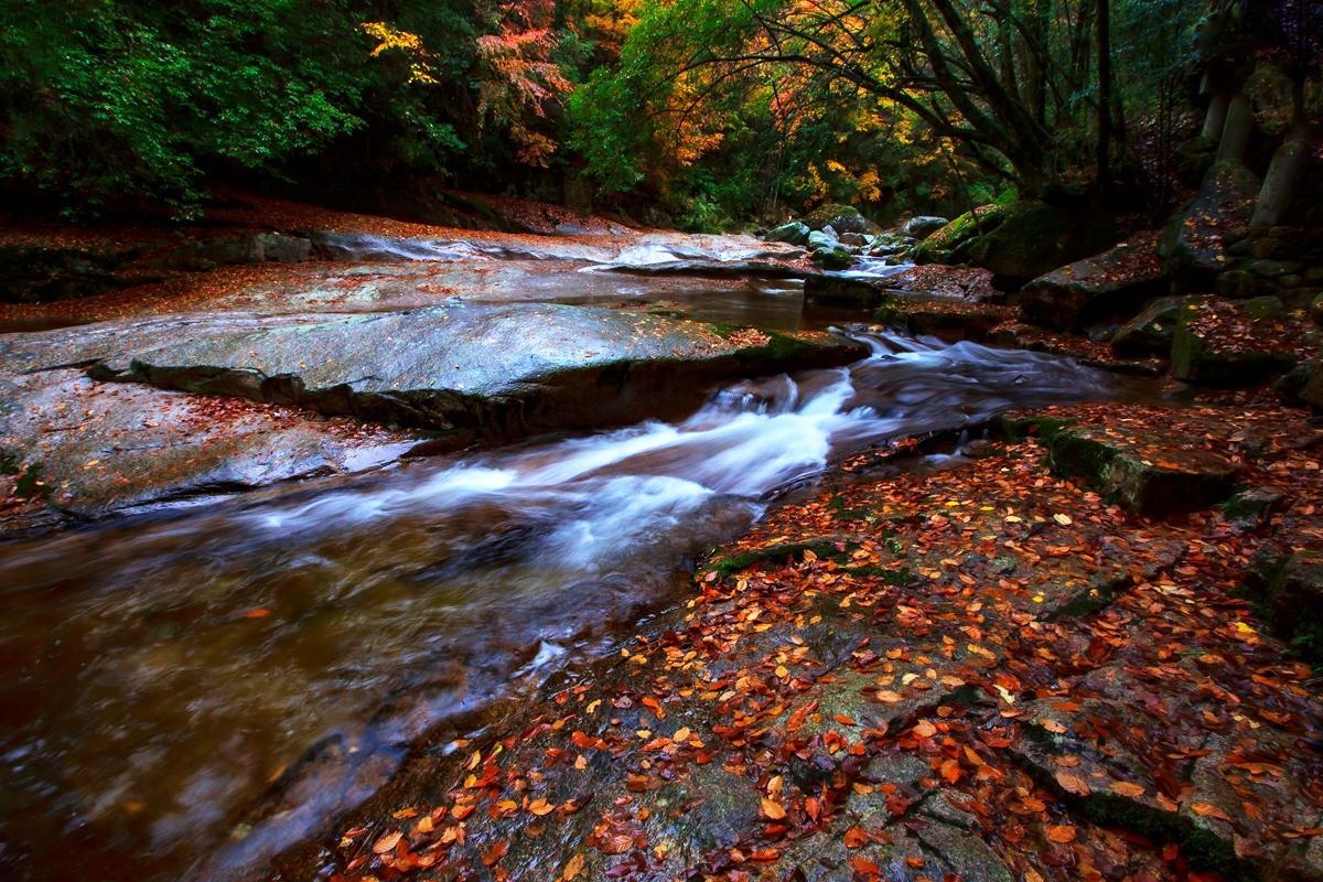 《 十 八 月 潭 》掠 影